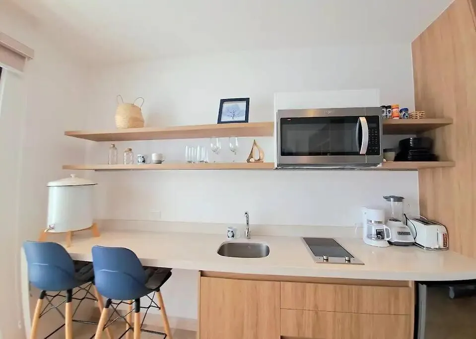 Moderno Estudio Totalmente Equipado, Centro 普拉亚卡门
